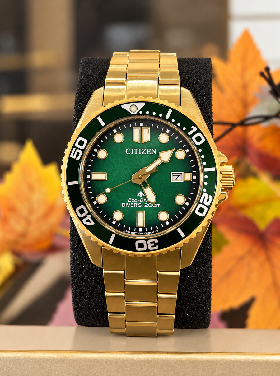 Can you replace my watch battery?